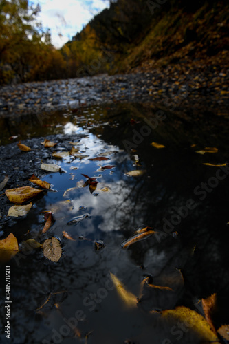 Sky reflected in water with autumn leaves on a road in Tusheti © Alexander