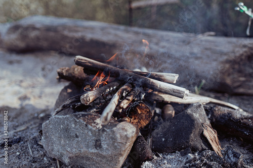 bonfire in the forest on a sunny day