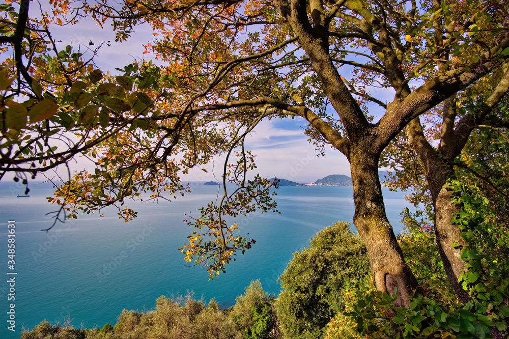 Panoramic view from the path between Montemarcello and Tellaro towards the Gulf of La Spezia Liguria Italy