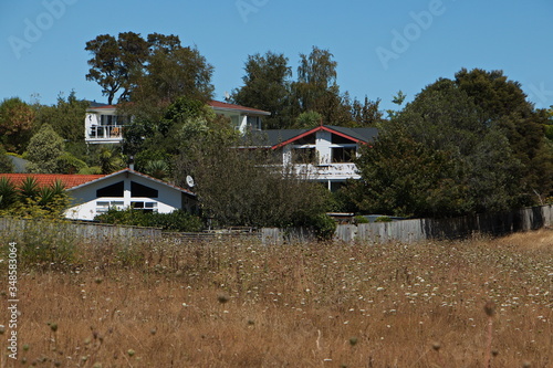Residential houses at Picton to Waikawa track,Marlborough Region on South Island of New Zealand  
