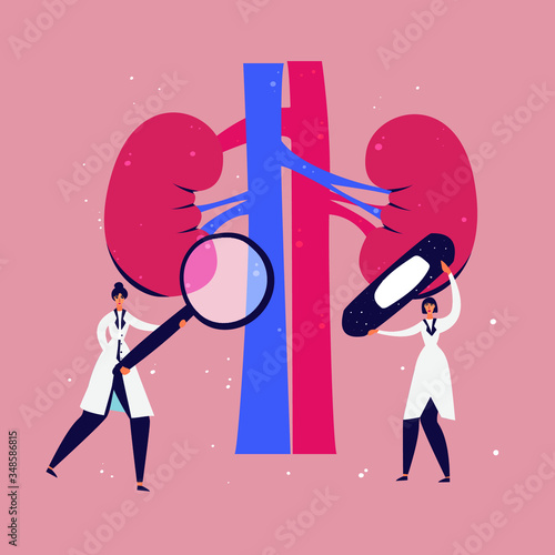 Doctors examine kidneys for disease vector illustration. Examination by a nephrologist drawing. Kidneys cancer prevention hand drawn concept.