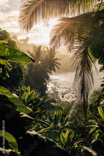 Kauai Jungle Dream