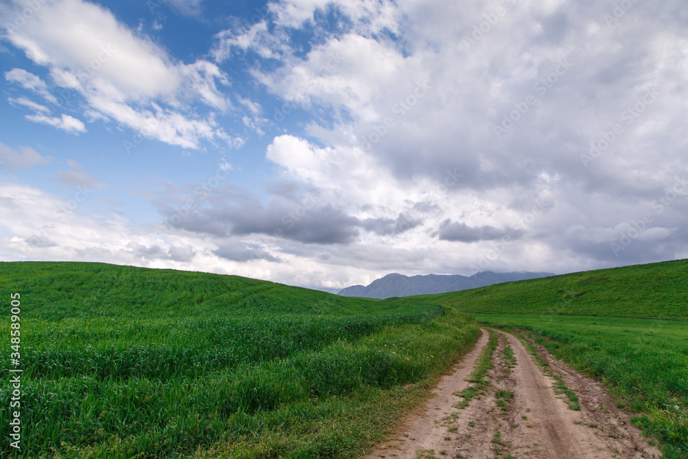 Beautiful spring and summer landscape. Mountain country road among green hills. Lush green hills, high mountains. Spring flowering grass. Beautiful spring and summer landscape. Mountain country road among green hills. Lush green hills, high mountains. Spring flowering grass.