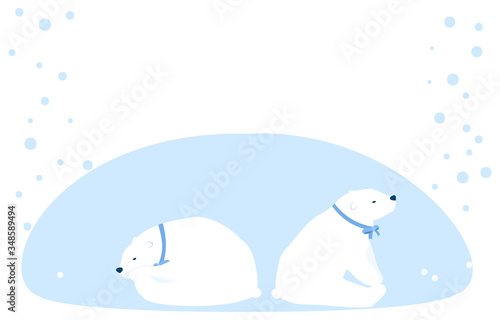 背中合わせに座る二頭の北極熊