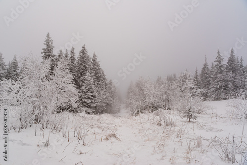 winter hike in the mountains of the southern Urals. Taganay National Park