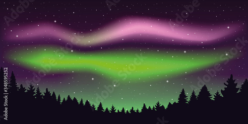 aurora borealis beautiful polar lights in stary sky in forest vector illustration EPS10