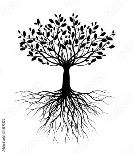 Black Tree silhouette with Leaves and Roots. Vector outline Illustration. Plant in Garden. Royalty free vector object.