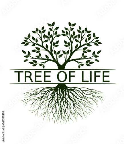 Tree of Life silhouette with Leaves and Roots. Vector outline Illustration. Plant in Garden. Royalty free vector object.