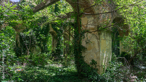 The remains of old building  overgrown with ivy  shrubs and trees. Georgia country. Kutaisi city