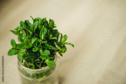 fresh mint on wooden background close-up