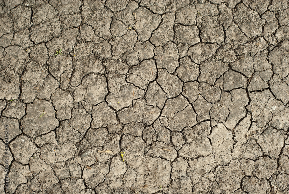 Dry land with cracks and dust. Soil texture close up. Dry land with cracks and dust. Soil texture close up.