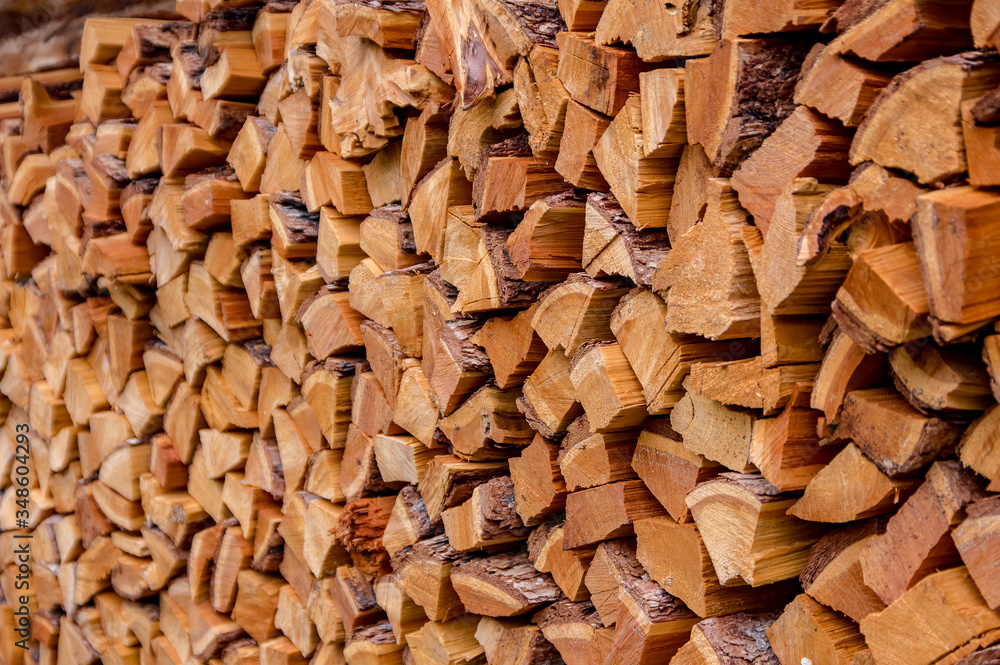 Background image of the bark of a coniferous tree Background image of the bark of a coniferous tree