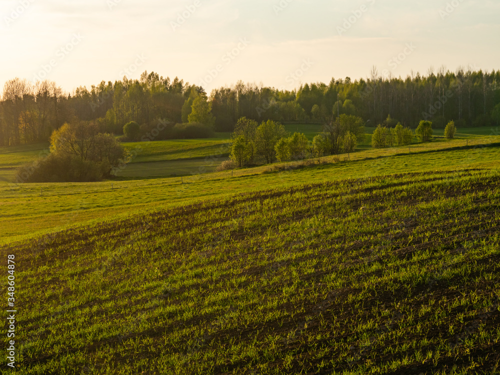 Spring fields and farmlands at the sunset light. Suwalski landscape park, Podlaskie, Poland