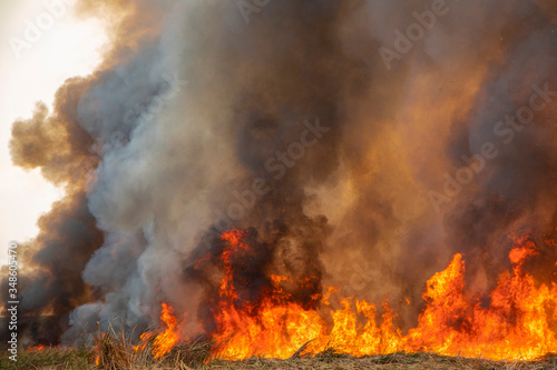Raging flame of fire burn in grass fields pollution in air from wildfire concept. © WP_7824