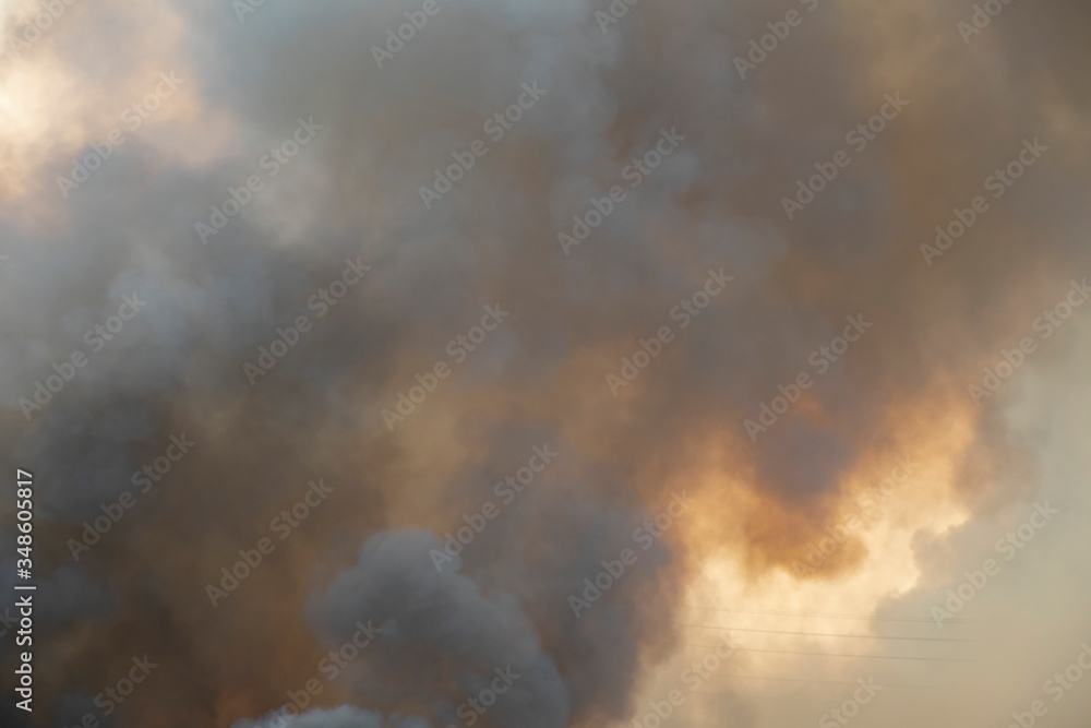 Obraz premium smoke pattern background of fire burn in grass fields