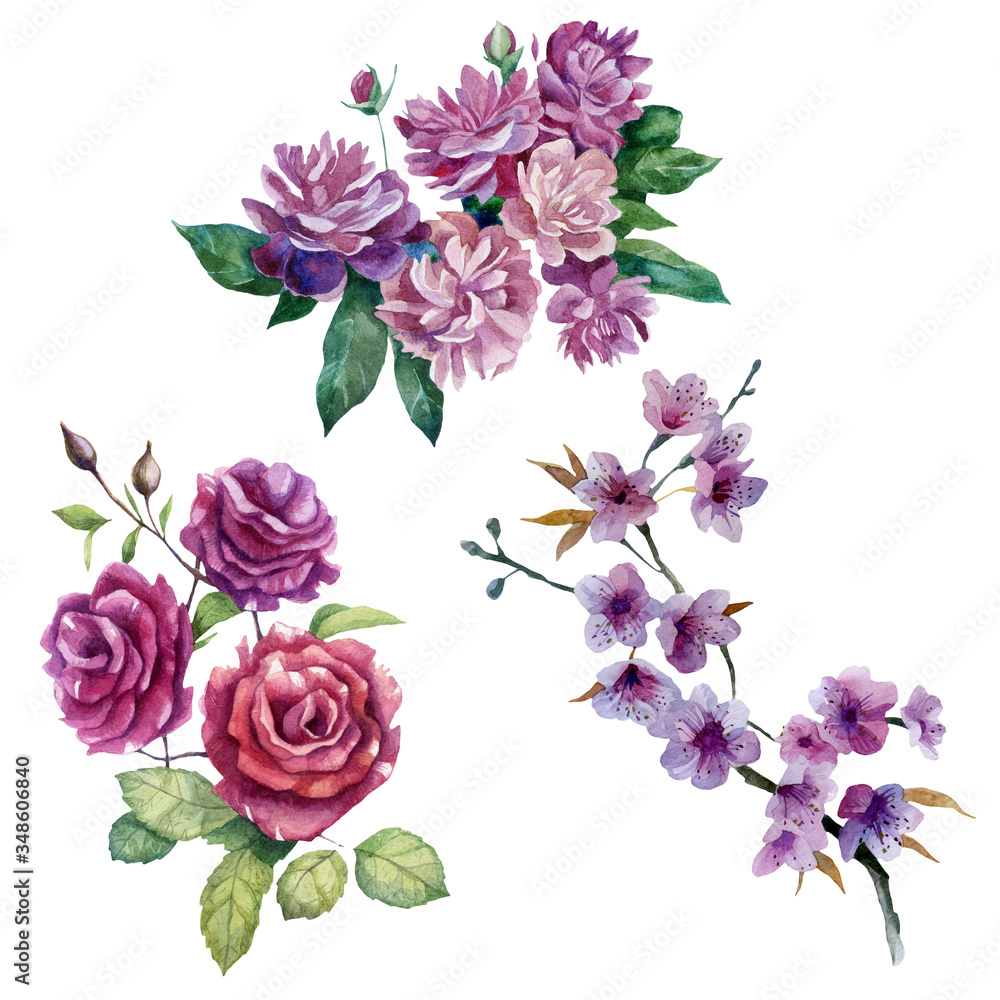Watercolor illustration, set. Flowers of roses, peonies, sakura. Spring summer motive.