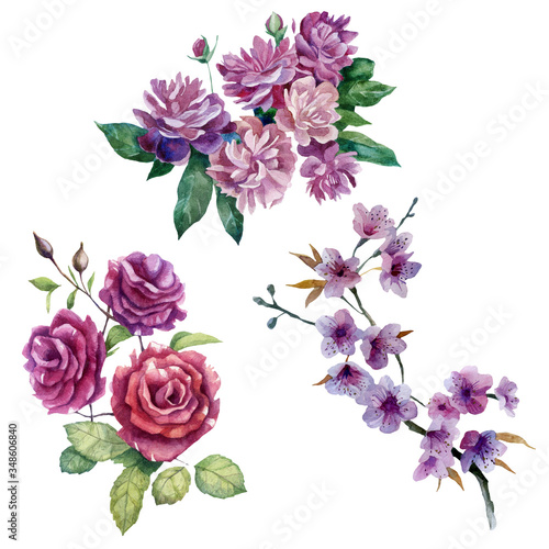 Watercolor illustration  set. Flowers of roses  peonies  sakura. Spring summer motive.
