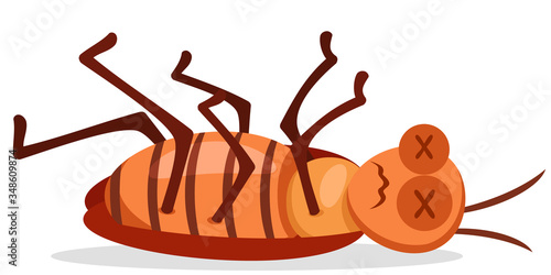 Cockroach insect nailed lies on a white background