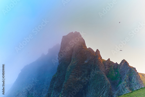 Bird colony on Sunset in island Vestmannaeyjar near the coast of south Iceland