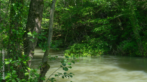 River in the forest. Imereti region. Georgia country