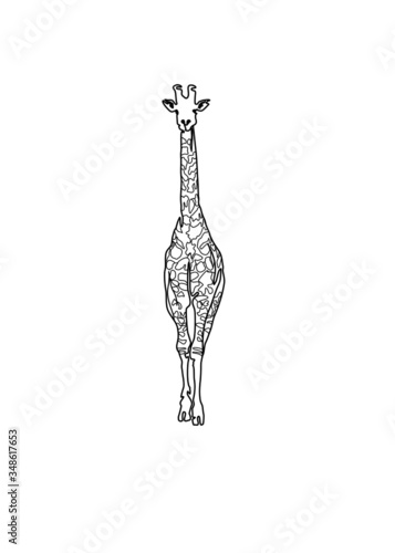 Vector illustration standing giraffe