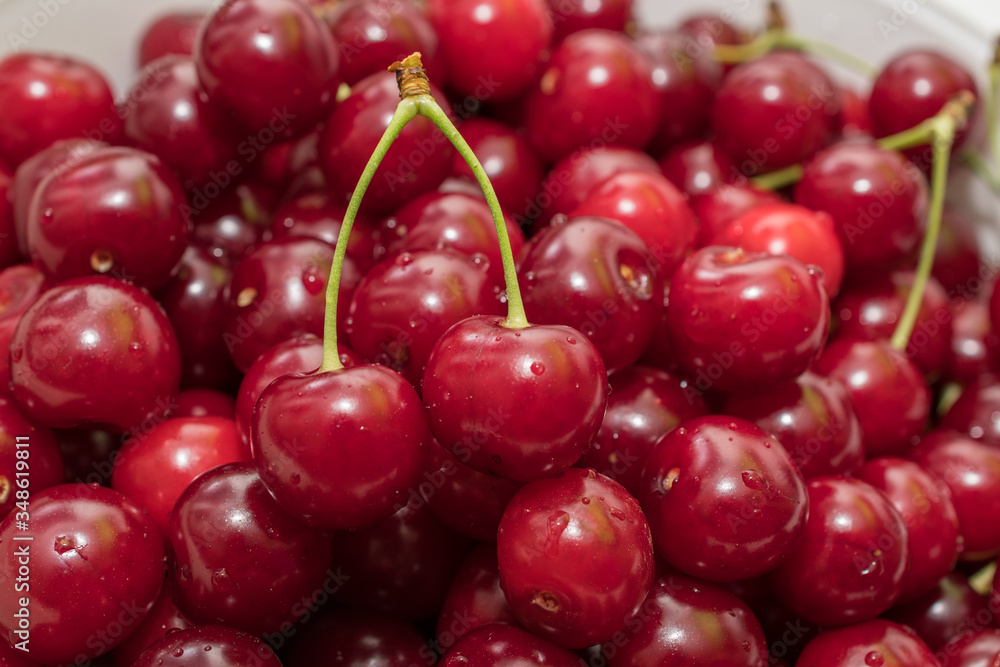 Fresh picked harvested sour cherries in a white bowl on a kitchen table. Fresh picked harvested sour cherries in a white bowl on a kitchen table.