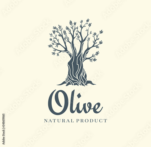 Elegant olive tree isolated icon. Creative olive tree silhouette. Logo design used for advertising products premium quality