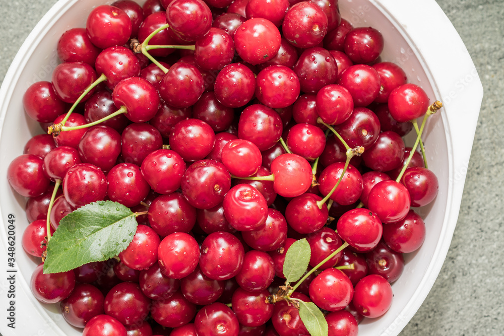 Fresh picked harvested sour cherries in a white bowl on a kitchen table. Fresh picked harvested sour cherries in a white bowl on a kitchen table.