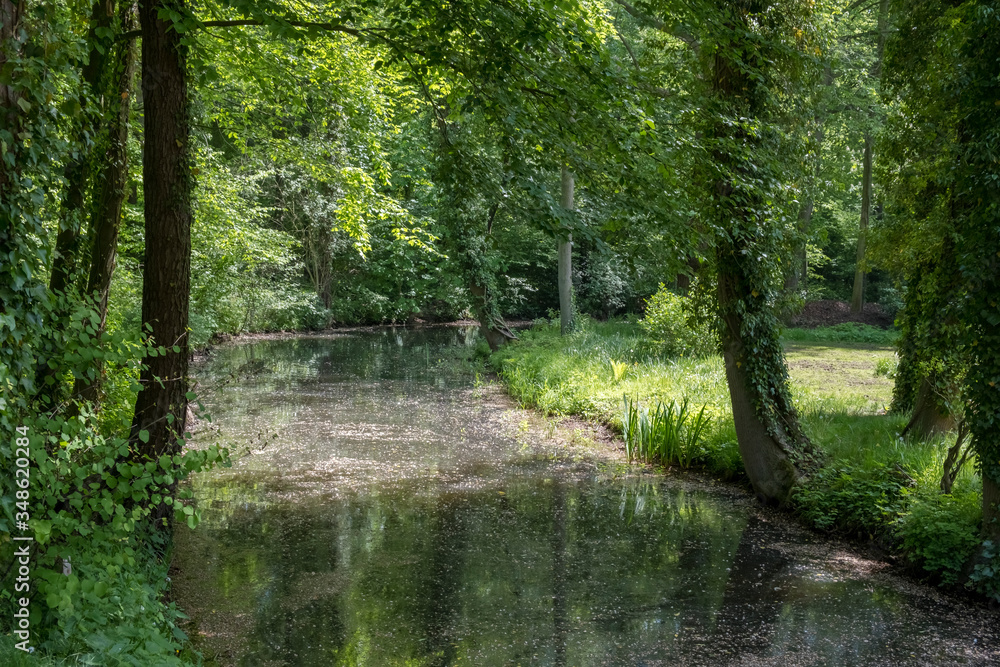 Frühling Frühling