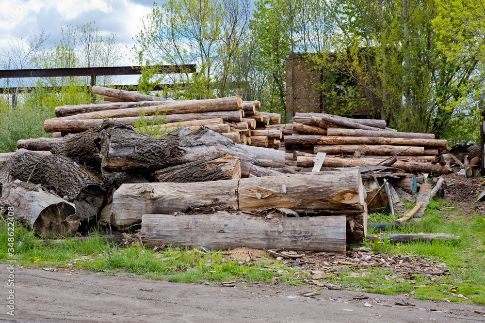 A pile of logs at a woodworking factory. A pile of logs at a woodworking factory.