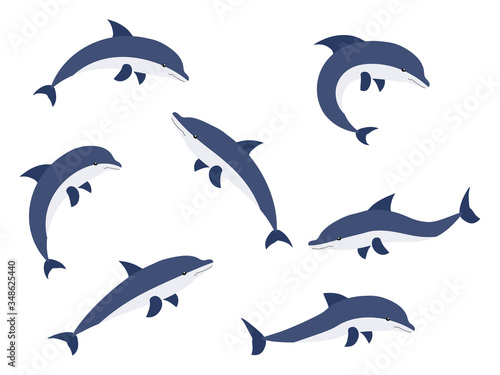 Set of cartoon dolphins vector illustration isolated on white background.