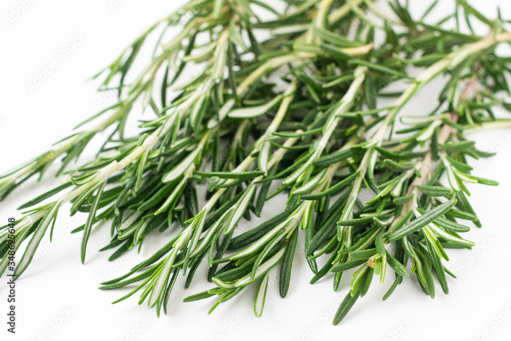Fresh bouquet of rosemary leaves in a white ceramic bowl on white light background. Selective focus. Fresh bouquet of rosemary leaves in a white ceramic bowl on white light background. Selective focus.