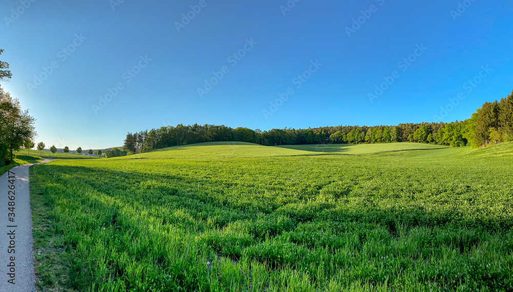 Bavarian landscape with green grass and blue sky during Spring