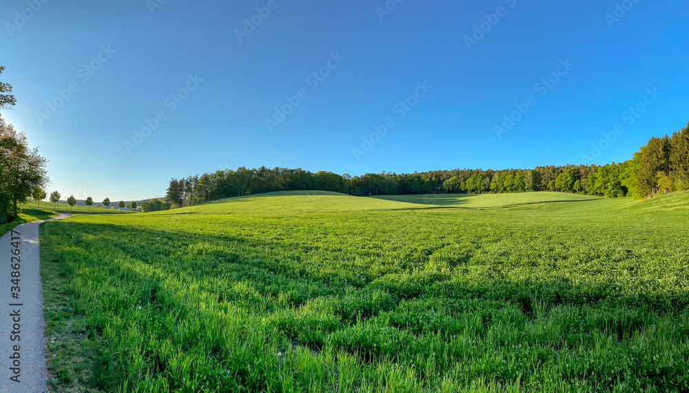 Bavarian landscape with green grass and blue sky during Spring Bavarian landscape with green grass and blue sky during Spring