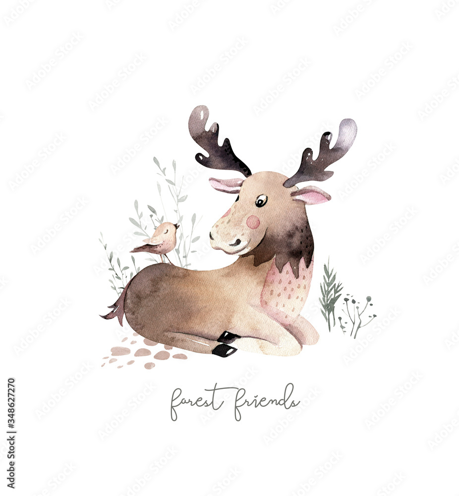 Obraz Woodland watercolor cute animals baby Elk. Scandinavian elk forest nursery poster design. Isolated charecter