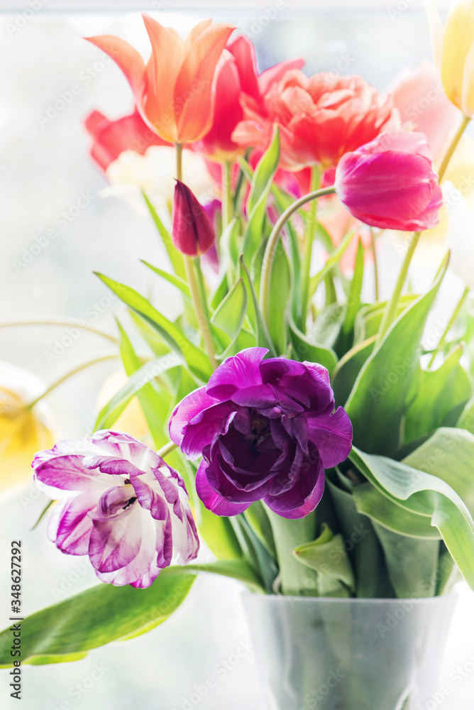 Fototapeta premium Multicolored tulips in a vase, window on the background
