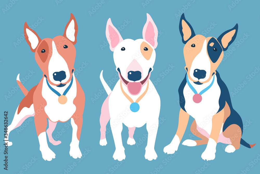 Vector set of Bull Terrier dogs of different typical colors