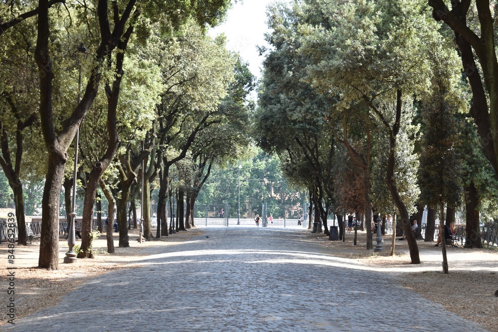 road in the park road in the park