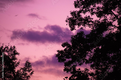 dusk pink sky