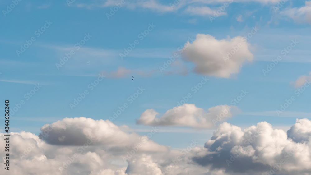 Fototapeta premium Sky with clouds. Lush, large Cumulus clouds in a clear blue sky illuminated by the rays of the sun on a Sunny day. Realistic sky background. Template. 