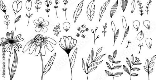 Handdrawn doodle flowers and leaves vector set. Spring summer print for fabric and paper. Stem petals branches herb in sketchy style.
