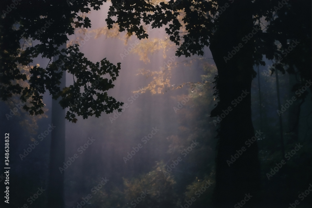 Fototapeta premium Forest after rain in purple colors
