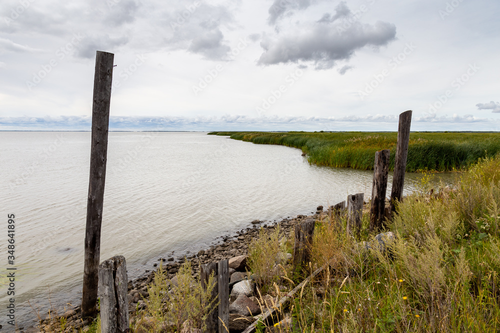 An Old Fenchline Along the Shores of A Lake in Canada