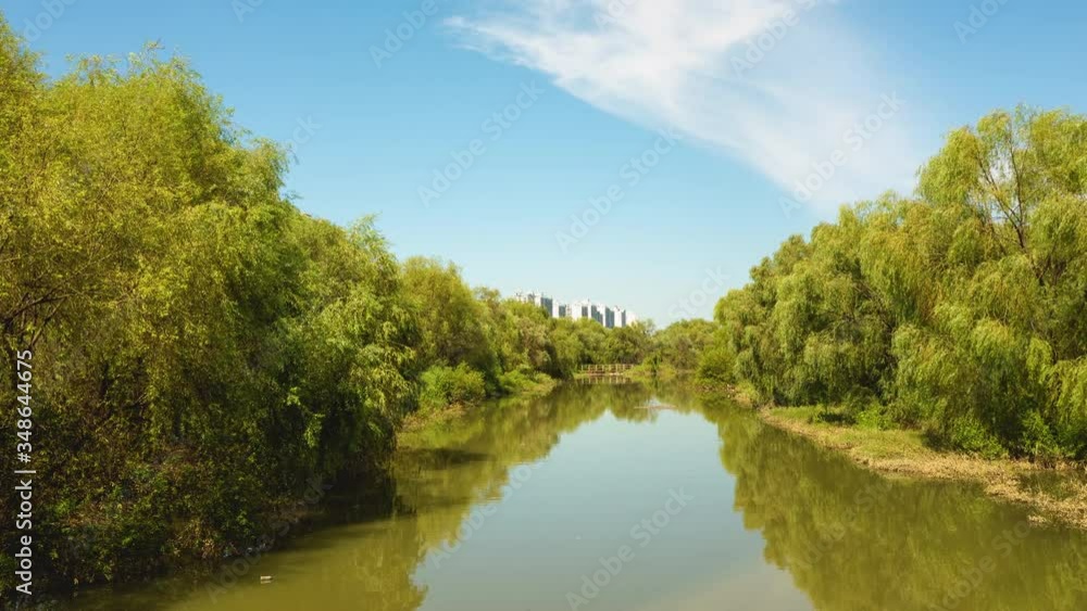 Time lapse shot of pond and the lush wetland at Yeouido Saetgang Ecological Park in Seoul, South Korea Time lapse shot of pond and the lush wetland at Yeouido Saetgang Ecological Park in Seoul, South Korea