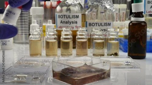 Experienced laboratory scientist analyzing a sample from a canned food can, botulism infection in sick people photo