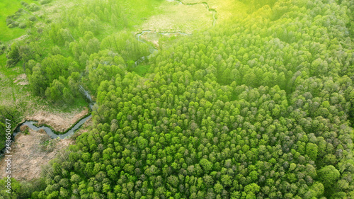 Aerial. Green spring forest with river. View above.