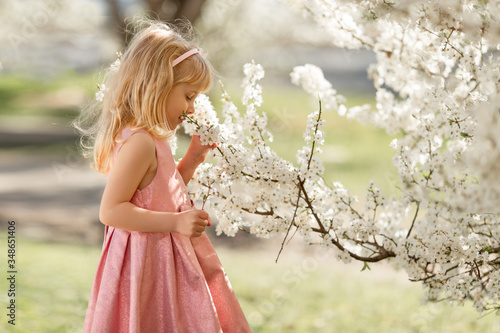 Cute little child girl is playing in blossom cherry garden outdoors.