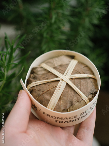 Goat cheese in leaves. French food.  image with selected focus