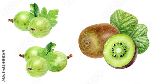 Gooseberry with leaf and kiwi fruit watercolor illustration isolated on white background