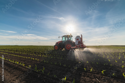 Fotografiet Tractor spraying pesticides at corn fields